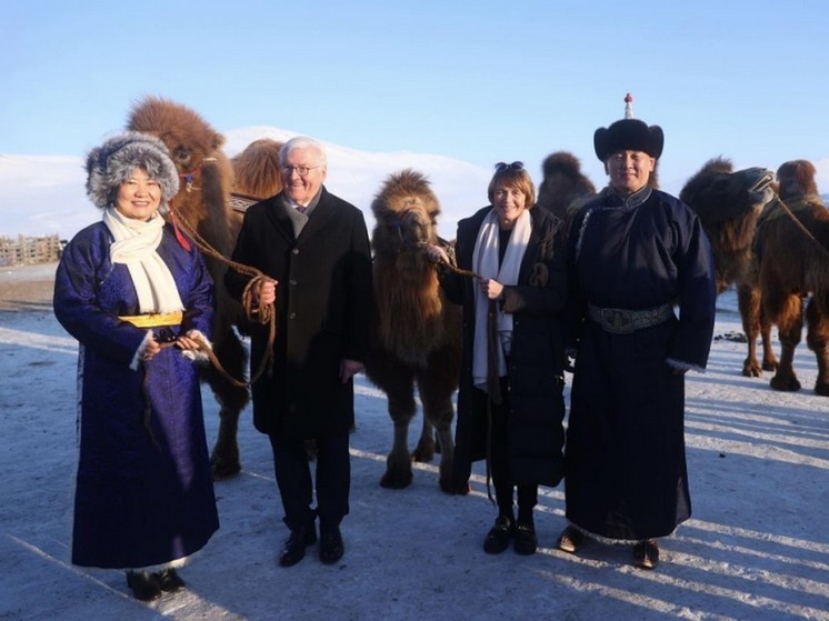 Президенту ФРГ в Монголии подарили верблюда, его жене - верблюжонка