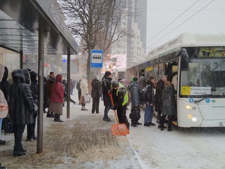 Воронежцам открыли телефонную линию для жалоб на общественный транспорт