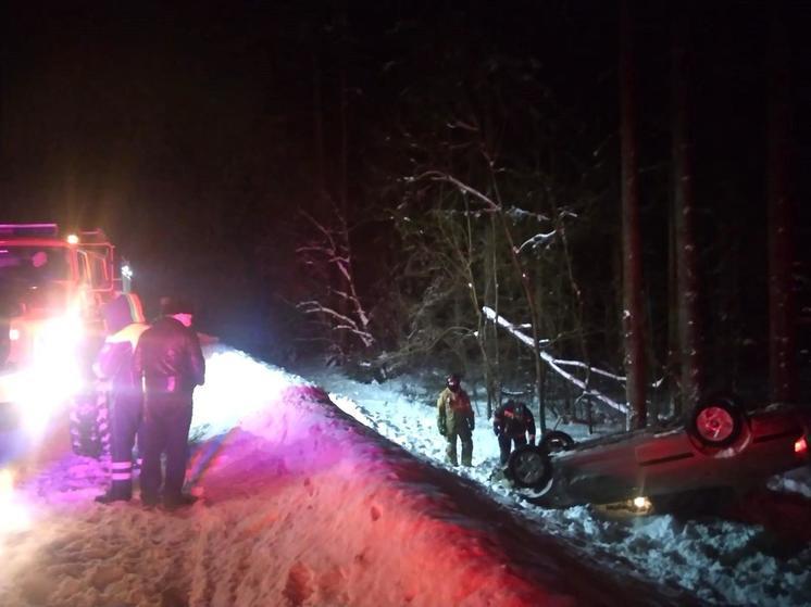 Спасатели помогли водителю, машина которого улетела в кювет