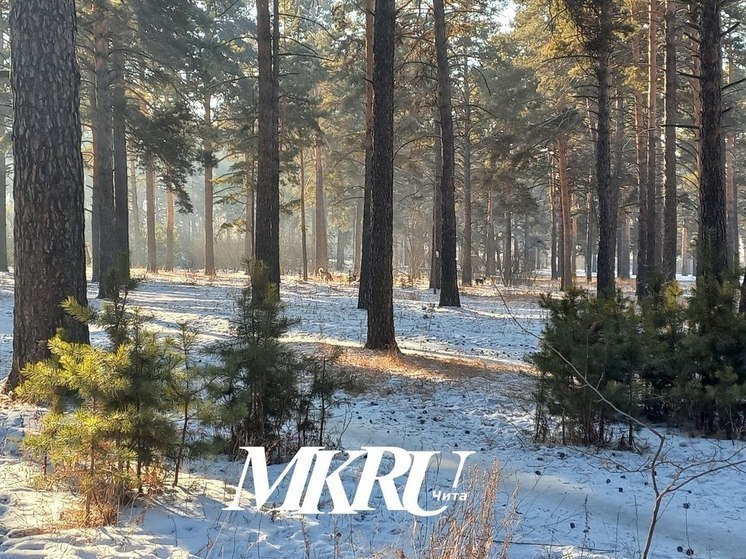 Температура упадет до 37 градусов мороза ночью 14 февраля в Забайкалье