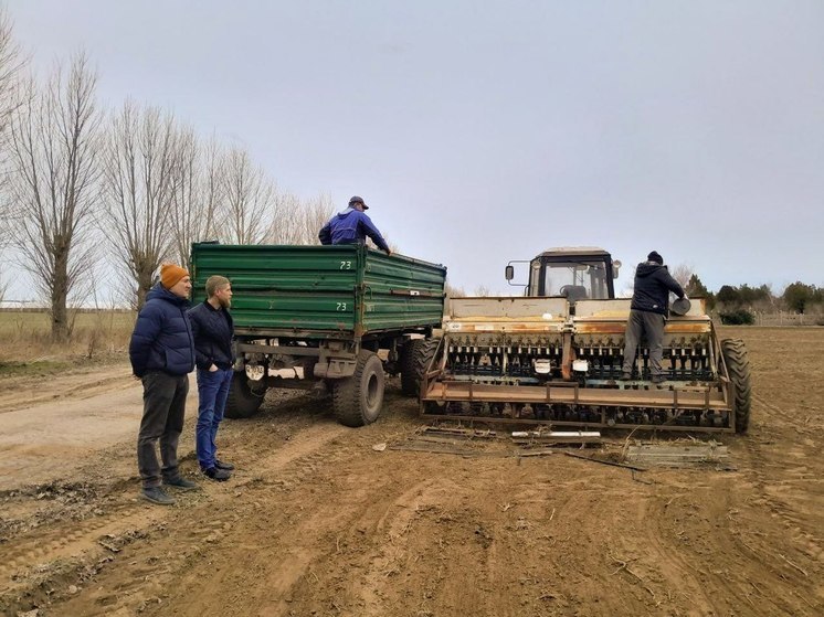 Аграрии Херсонщины сделают ставку на подсолнечник