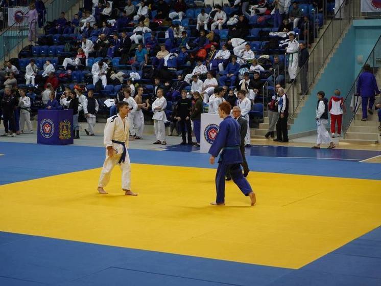 Больше 2,5 тысяч юных спортсменов Брянской области занимаются дзюдо