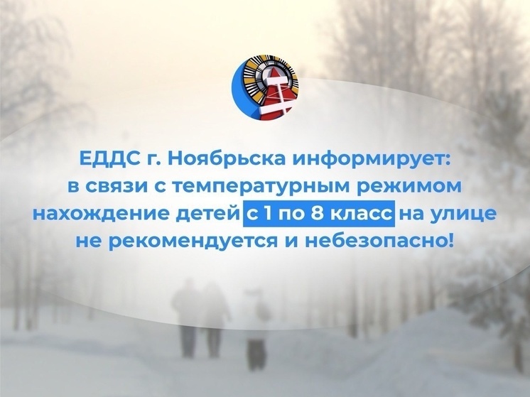 Ямальским школьникам снова разрешили остаться дома из-за мороза