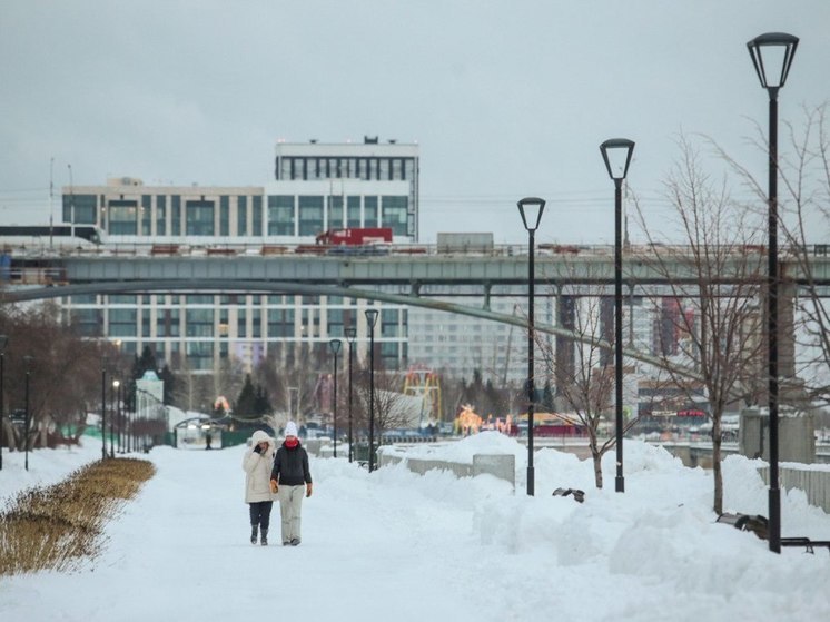 Новосибирск в марте ждут новые температурные качели в 40 градусов