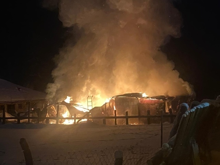 Газовщики в Карелии объяснили, почему взрываются газовые баллоны