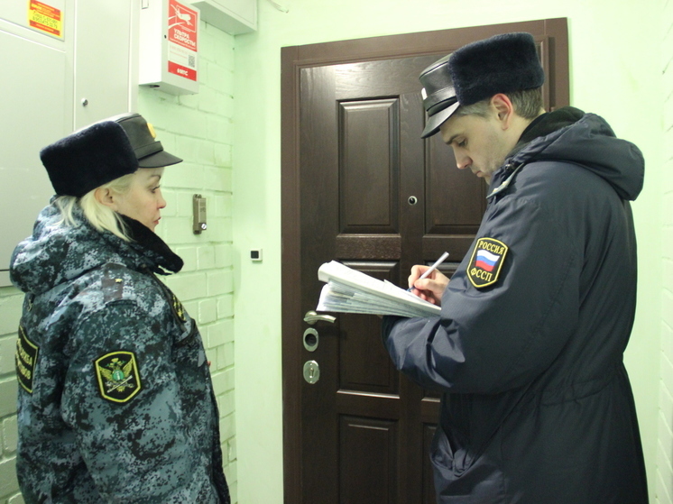 В Орловской области в отношении участников СВО приостановили более 4,5 тысяч исполнительных производств