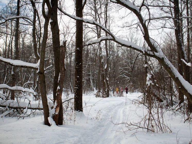 Синоптик дал прогноз после морозной ночи