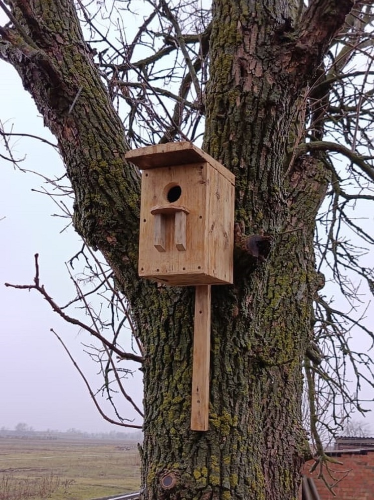 В Калмыкии школьники и взрослые построят домики для птиц