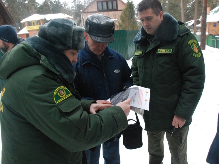В Серпухове проведут осмотр лесного участка