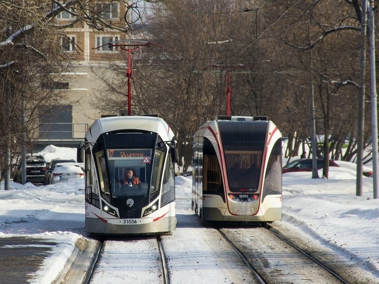 В Туле на маршрут №12 и №14 встали новые «Львята»
