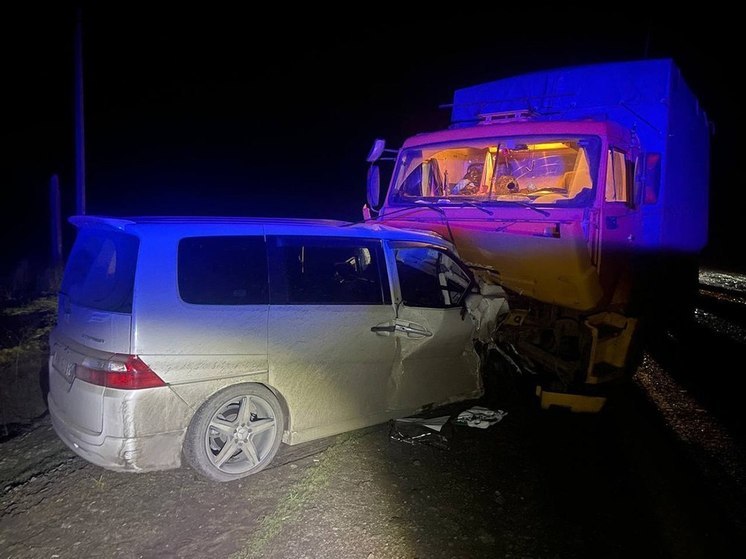 В Бердянском районе произошло смертельное ДТП