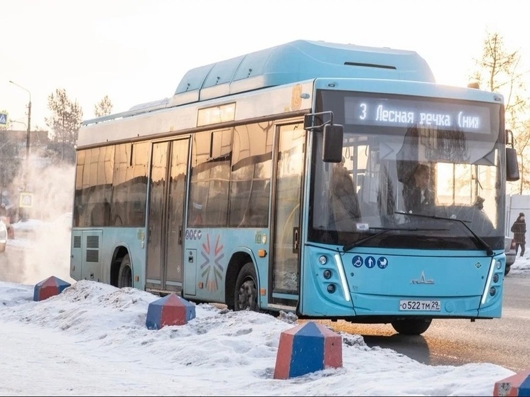 Архангелогородцы назвали самый «любвиобильный» автобусный маршрут