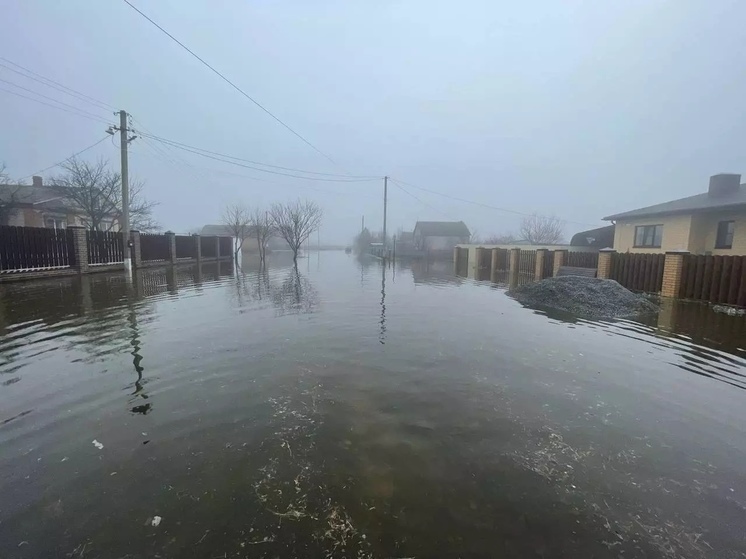 В Ростовской области из-за выпадения осадков затопило жилые дома
