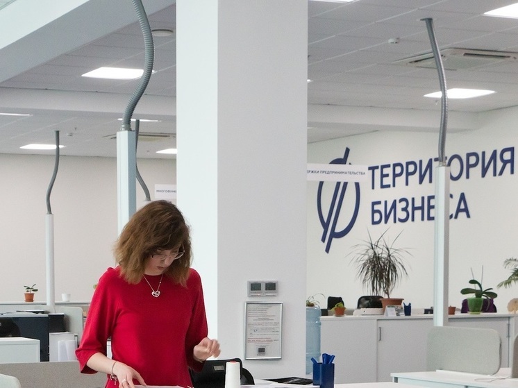 В Челябинской области нашли массу доступного для предпринимателей имущества