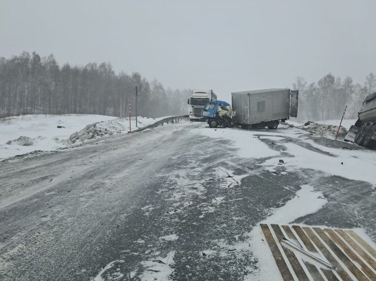 Под Новосибирском в столкновении грузовиков погиб водитель