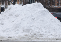 Товарищество собственников жилья заказало уборку снега у фейковой организации
