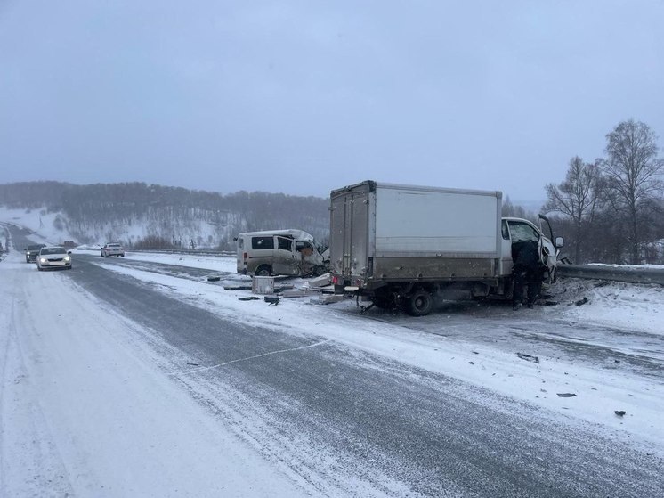 В Новосибирском районе легковушка столкнулась с фургоном – погиб водитель