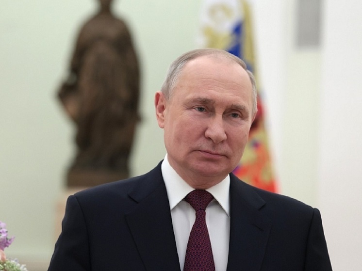 Путин: МЧС России является слаженной, технически оснащенной структурой