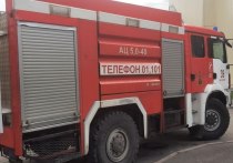 Огонь охватил здание автосервиса на улице Салова. Сейчас пожар тушат 20 сотрудников МЧС и пять машин, сообщили в управлении ведомства по Петербургу.