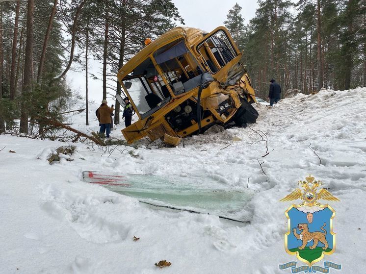 Водителя большегруза, столкнувшегося со школьным автобусом под Пушкинскими Горами, заключили под стражу