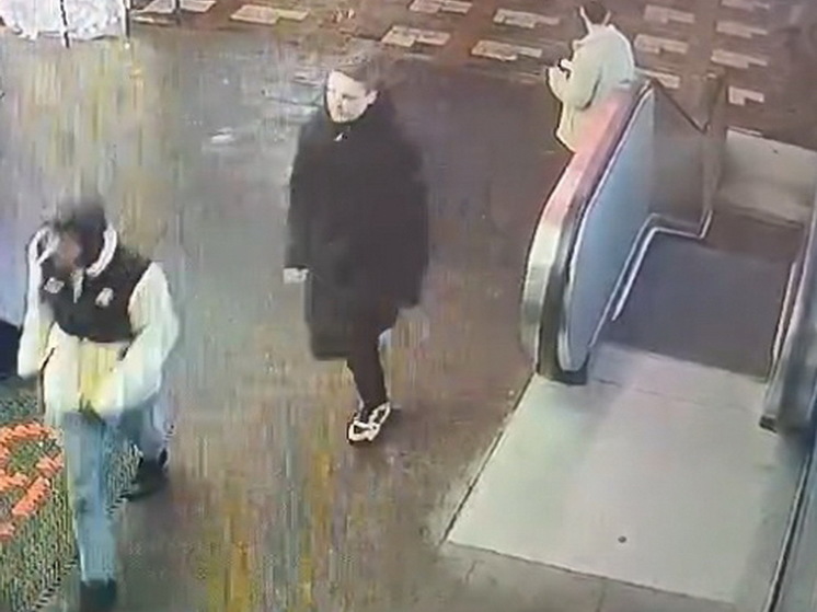Курские полицейские разыскивают двух подозреваемых в краже наушников и денег