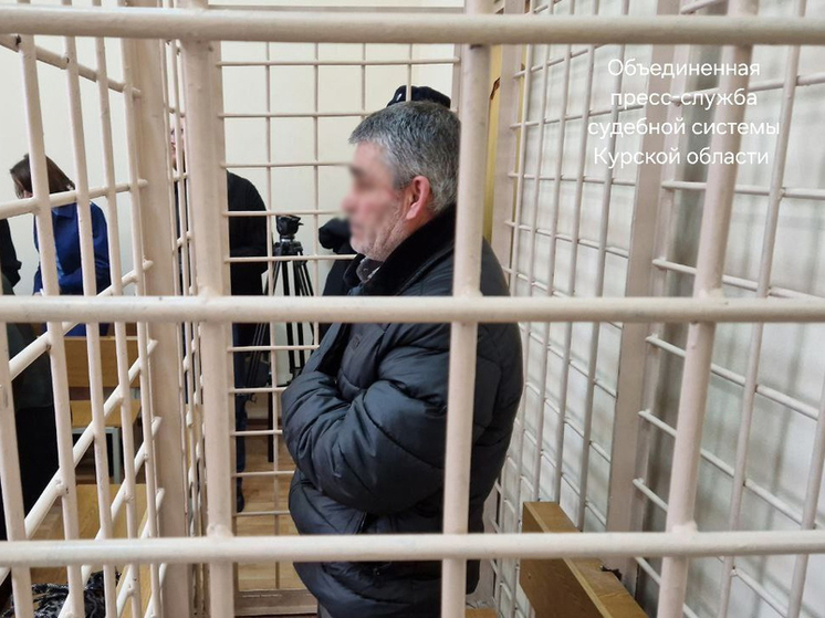 Курский суд признал законным арест мужчины, ударившего 4-летнего ребёнка по голове