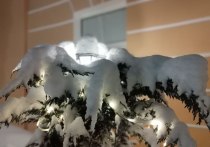 После снегопада в четверг, 14 февраля, высота снега в Петербурге увеличилась до 32 сантиметров. Последствиями очередного погодного «испытания» в своем telegram-канале поделился синоптик Александр Колесов.
