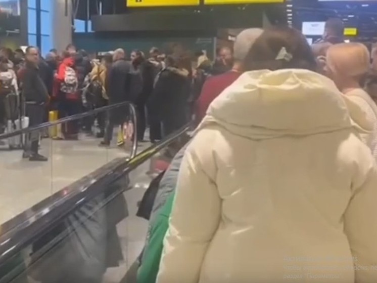 Зажигалка, похожая на гранату, стала причиной очередей в Шереметьево