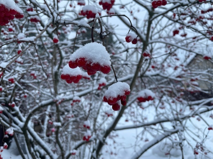 Народные приметы на 15 февраля – Сретение Господне: что можно и нельзя делать