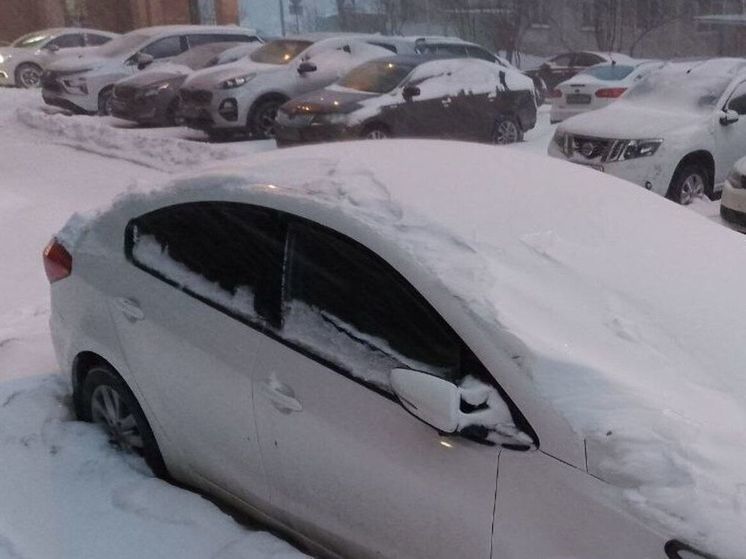 Тишковец предупредил о снеге в пятницу и оттепели в выходные