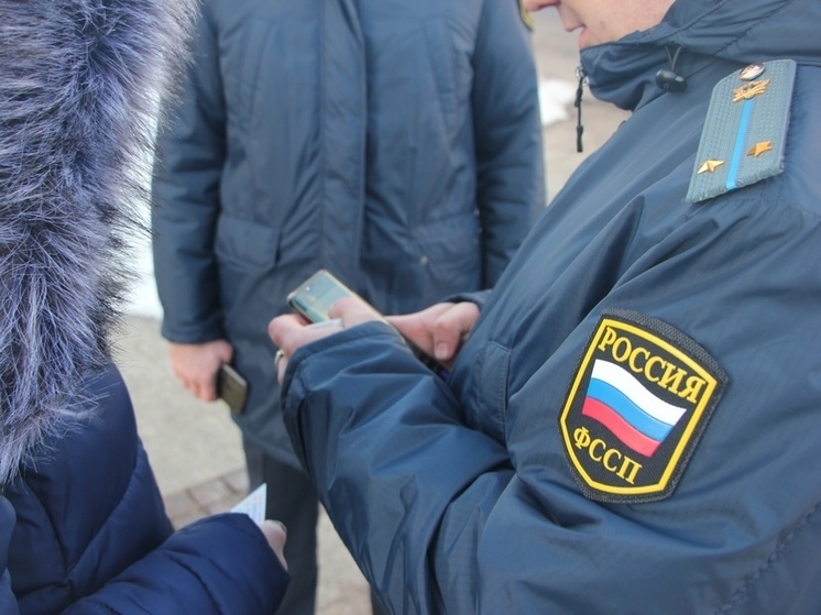 В Чудовском районе судебные приставы передали женщине ее ребенка