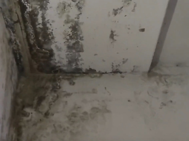 Жителей 100 квартир в Орле затапливает водой из-за дыр в крышах