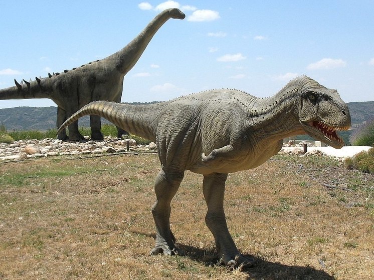Окаменелости динозавров недалеко от Касабланки открыли глаза ученым