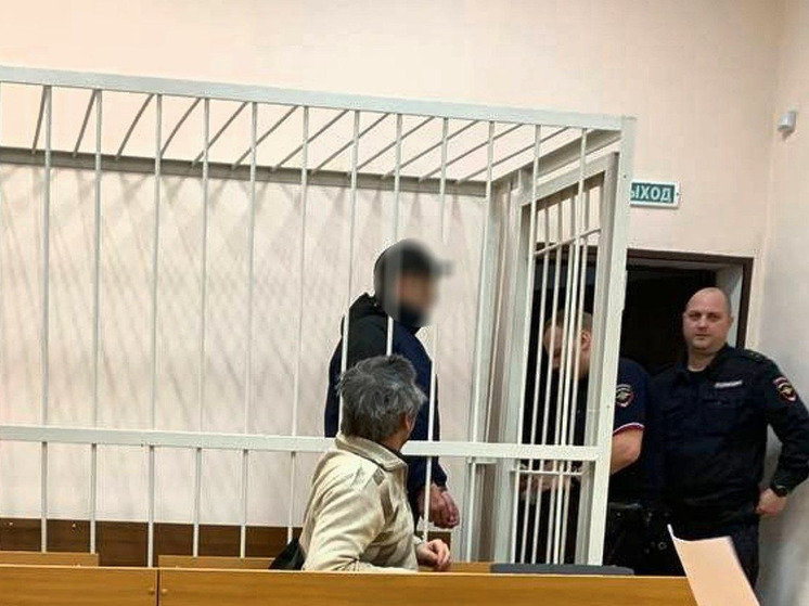 Истязавшему ребенка североморцу продлили срок содержания под стражей