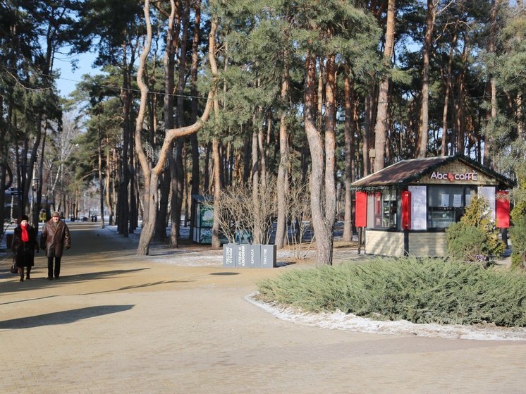 В Воронеже планируют установить 15 торговых точек в скверах и парках