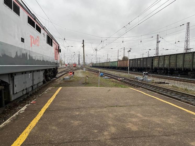РЖД предложили Госдуме уголовно наказывать за столкновение с поездом