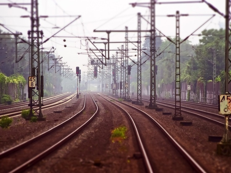 Минтранс: поезда будут ходить по ВСМ Москва-Петербург каждые 10-15 минут