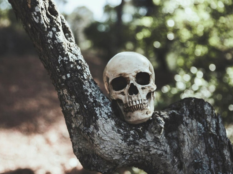Разгадан секрет смерти древнего «болотного человека»: убит необычайно жестоким способом