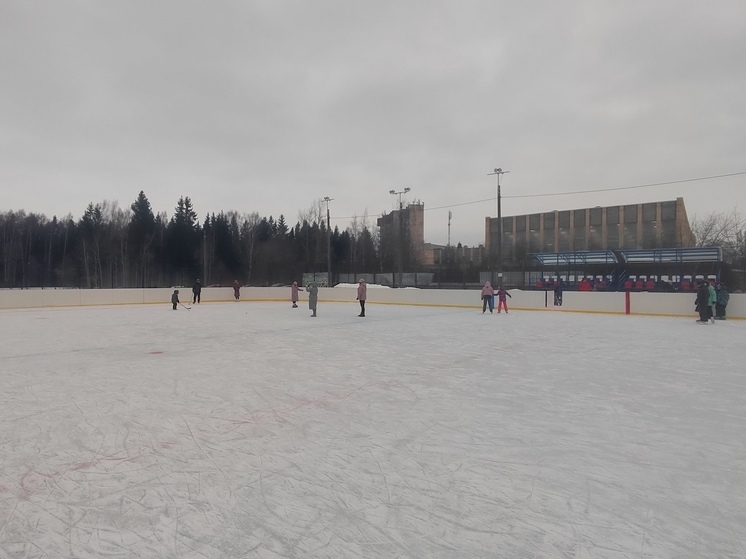 В хоккей в валенках сыграют на фестивале «Русская зима» в Янино-1 17 февраля