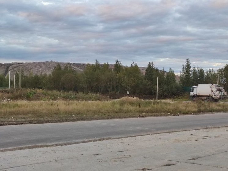 В Советске начнут бороться с вонью от полигона
