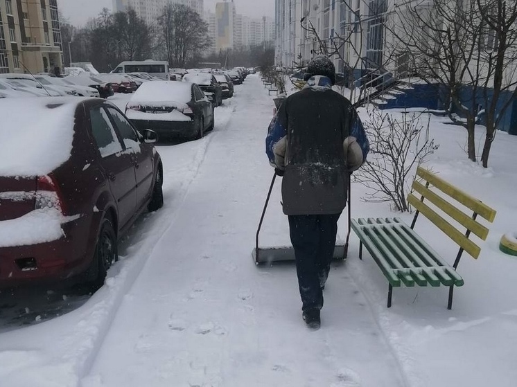 В Курске последствия снегопада устраняют сегодня 668 дворников