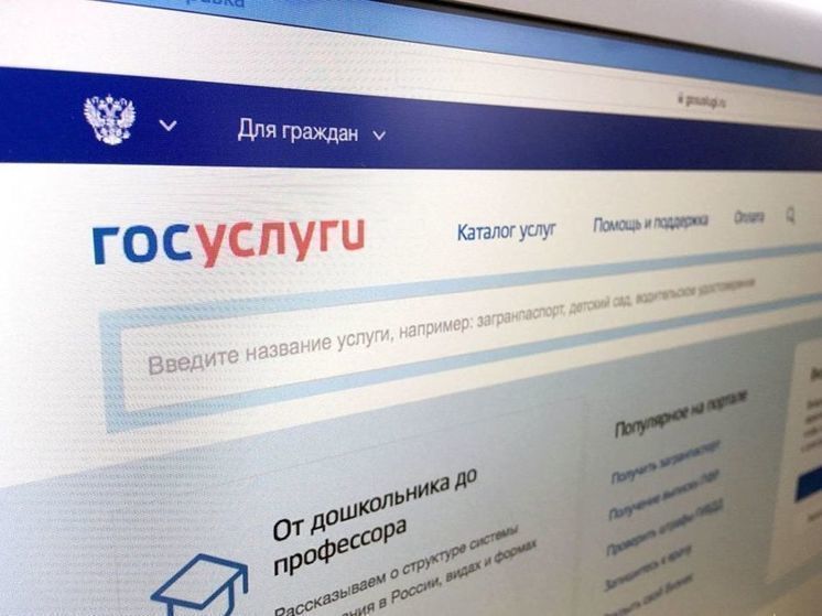 Больше половины калининградцев пользуются порталом Госуслуг хотя бы раз в год