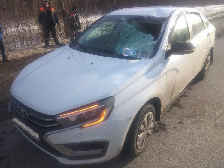 В Воронежской области слетевшая с большегруза глыба льда упала на легковушку и ранила водителя