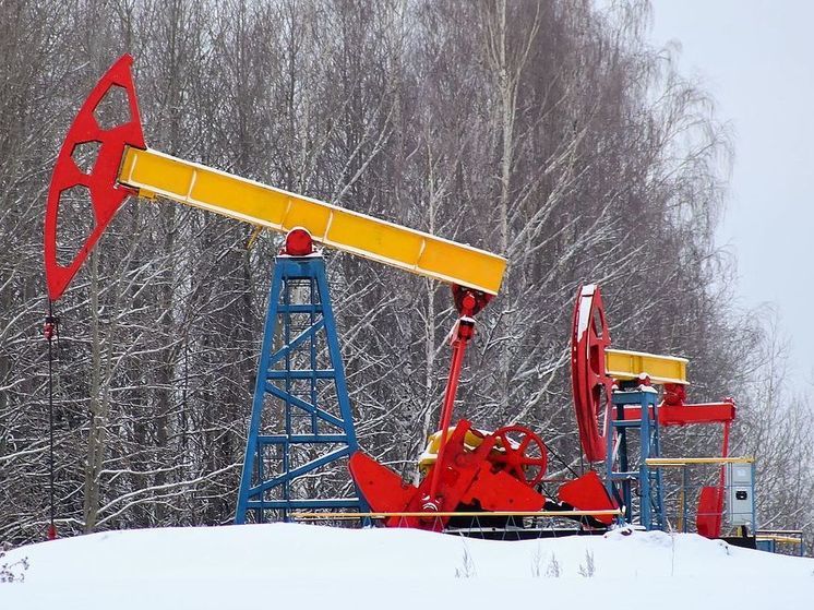 Индия возобновила закупки российской нефти за дирхамы