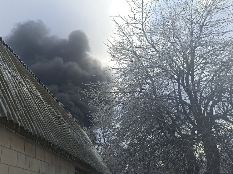 Украинские войска открыли огонь по Горловке с применением кассетных беприпасов