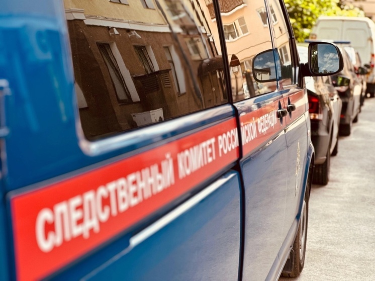 Бастрыкин поставил на контроль проверку сообщения о закрытии больницы в Пестово