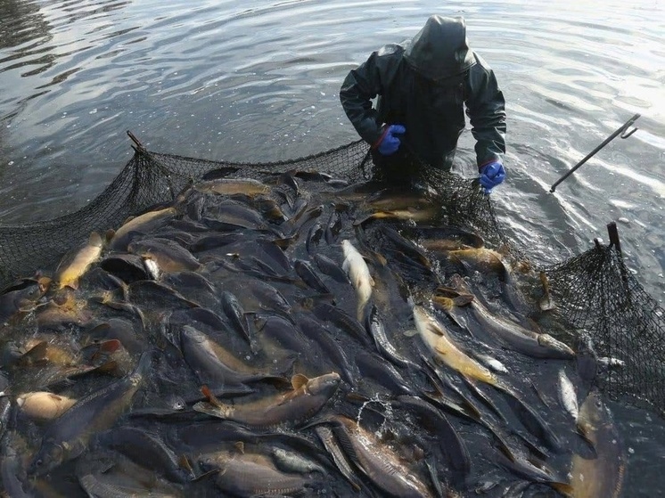 Калмыцкие рыбаки начинают весенний промысел на Каспии