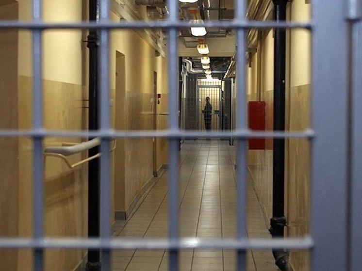 Костромские полицейские поймали 19-летнего мигранта, помогавшего мошенникам