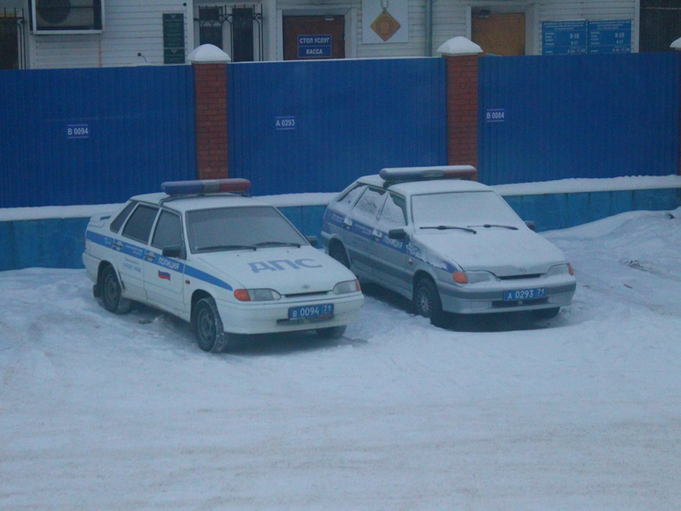 В ГИБДД предупредили туляков об ухудшении погодных условий
