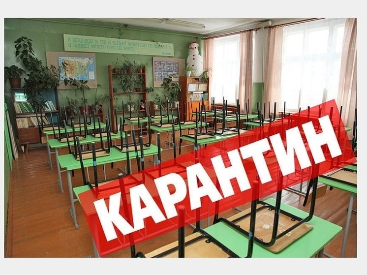 Две Смоленские школы закрыты на карантин по гриппу